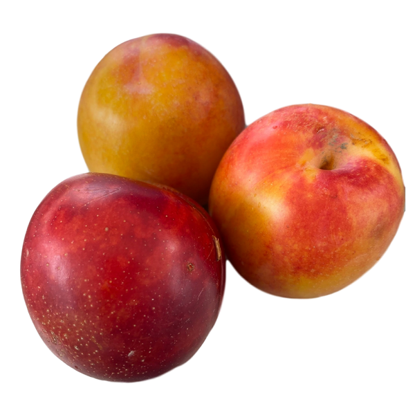 Fresh Nectarine - 1 Pound (Shalil)